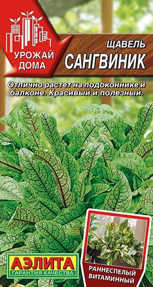 Щавель Сангвиник