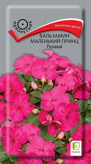 Бальзамин Маленький принц Розовый