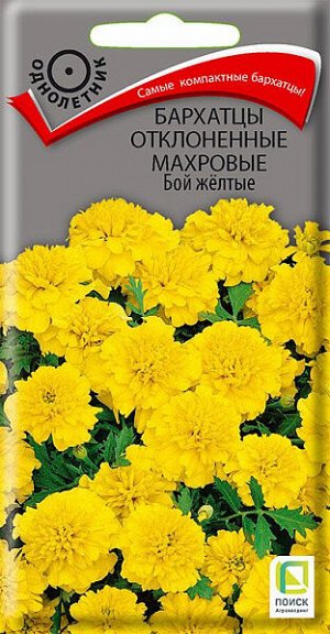 Бархатцы отклоненные махровые Бой желтые