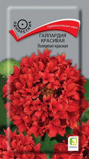 Гайлардия красивая Лоллипап красная