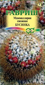 Маммиллярия (кактус) Бусинка
