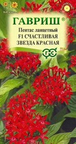 Пентас ланцетный Счастливая звезда красная F1