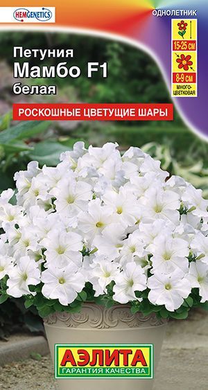 Петуния Мамбо белая F1 (многоцветковая)