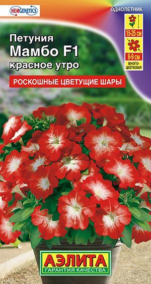Петуния Мамбо красное утро F1 (многоцветковая)