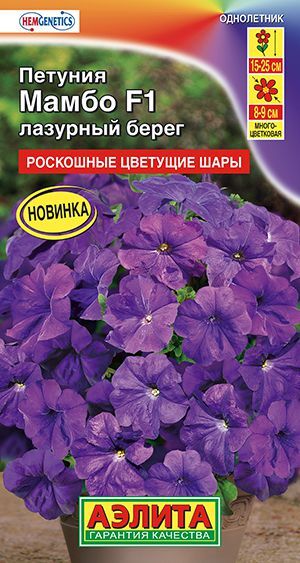Петуния Мамбо лазурный берег F1 (многоцветковая)