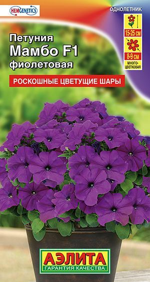 Петуния Мамбо фиолетовая F1 (многоцветковая)