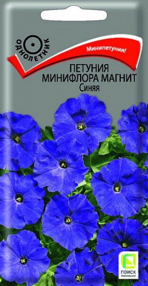 Петуния минифлора Магнит Синяя