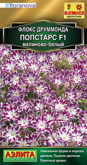 Флокс друммонда Попстарс малиново-белый F1