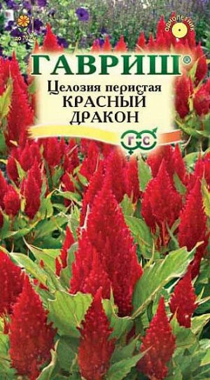 Целозия Перистая Красный дракон