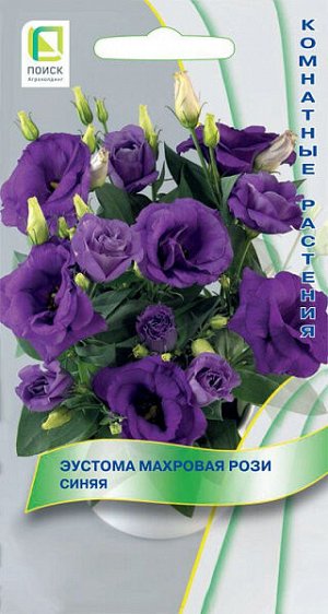 Эустома махровая Рози Синяя