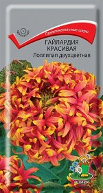 Гайлардия красивая Лоллипап двухцветная