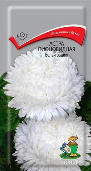 Астра Пионовидная Белая башня