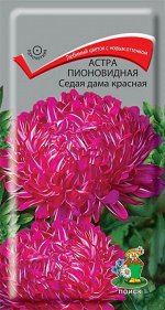 Астра Пионовидная Седая дама красная