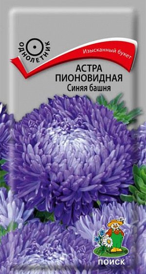 Астра Пионовидная Синяя башня