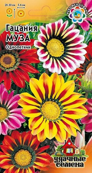 Гацания Муза (смесь окрасок)
