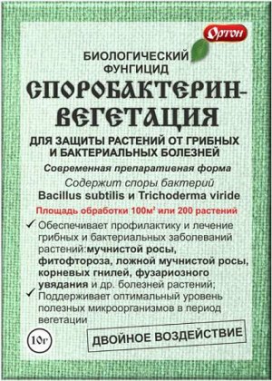 Споробактерин Вегетация