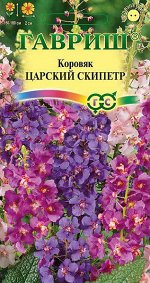 Коровяк Царский скипетр (смесь окрасок)