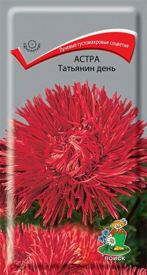 Астра Татьянин День