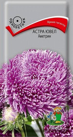 Астра Ювел Аметрин