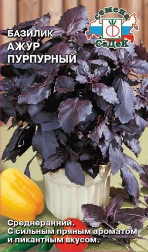 Базилик Ажур Пурпурный
