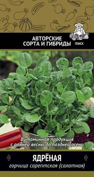 Горчица салатная Ядреная (сарептская)