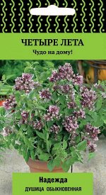 Душица (орегано) обыкновенная Надежда