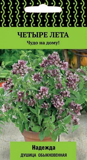 Душица (орегано) обыкновенная Надежда