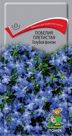 Лобелия Плетистая Голубой фонтан