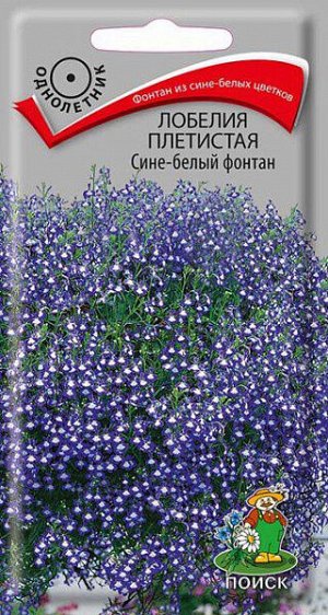 Лобелия Плетистая Сине-белый фонтан