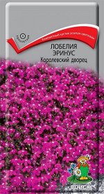 Лобелия Эринус Королевский дворец