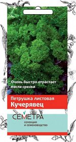 Петрушка листовая Кучерявец
