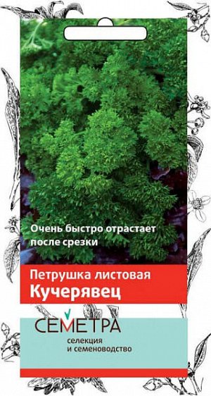 Петрушка листовая Кучерявец