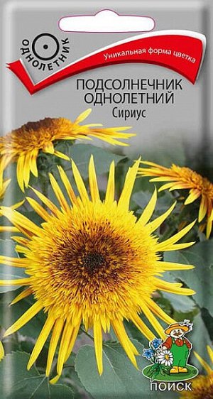 Подсолнечник Сириус