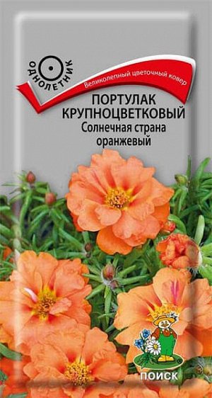 Портулак Крупноцветковый Солнечная страна оранжевый