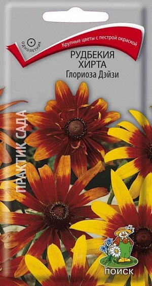 Рудбекия Хирта Глориоза Дэйзи