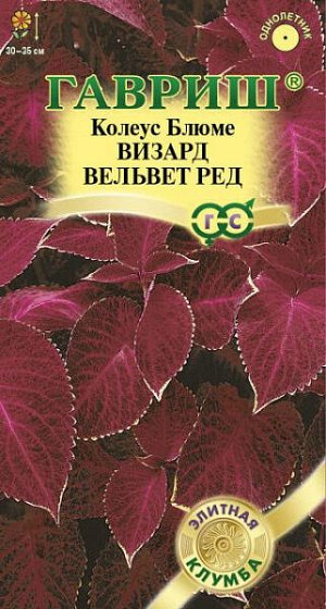 Колеус Визард Вельвет ред