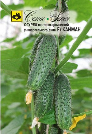 Огурец Кайман F1