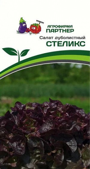 Салат дуболистный Стеликс