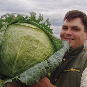Капуста Белокочанная Русский размер