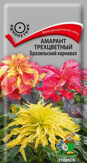 Амарант Трехцветный Бразильский карнавал