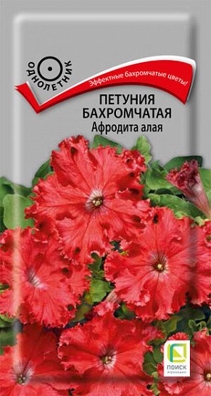 Петуния Бахромчатая Афродита алая