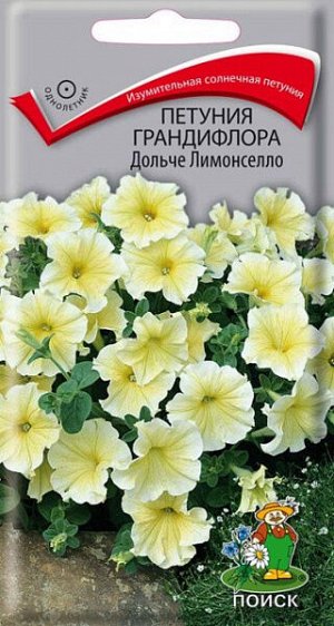 Петуния грандифлора Дольче Лимонселло