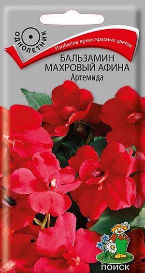 Бальзамин Махровый Афина Артемида
