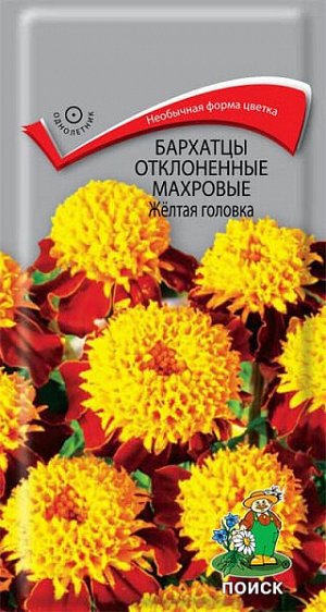 Бархатцы отклоненные махровые Желтая головка