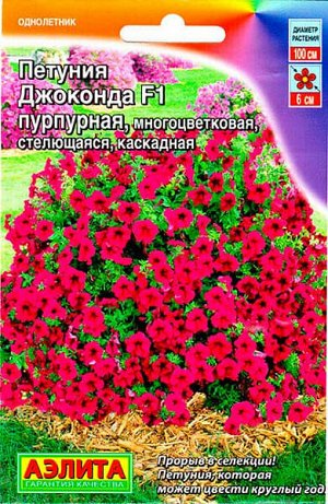 Петуния Джоконда пурпурная F1