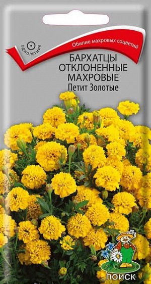 Бархатцы отклоненные махровые Петит золотые