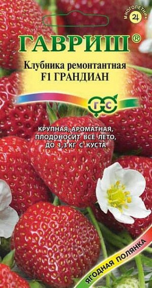 Клубника ремонтантная Грандиан F1 (земляника)