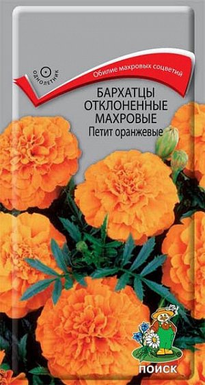 Бархатцы отклоненные махровые Петит оранжевые