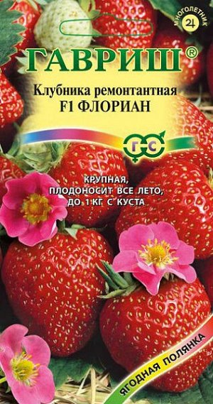 Земляника крупноплодная Флориан F1 (клубника)
