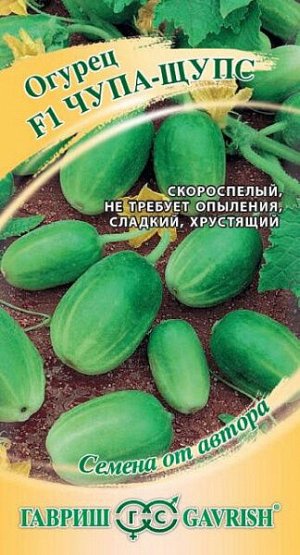Огурец Чупа-Щупс F1